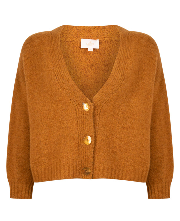 Aaiko Dames Wol Viscose Acrylic Cardigan Oliegeel