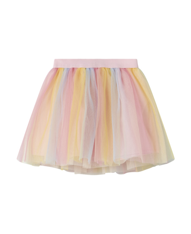 NMFPFAMILIE TULLE ROK Vrouwen