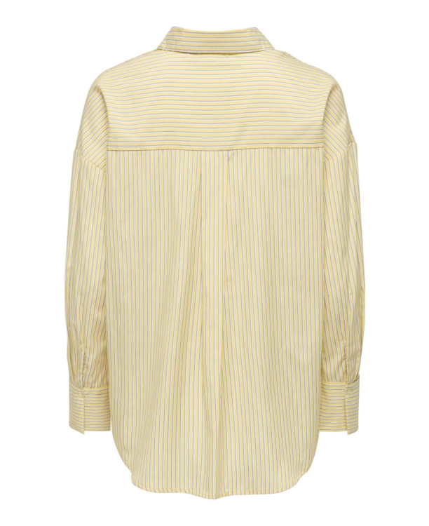 Regular Fit Shirt Collar Long Sleeves (L/S)