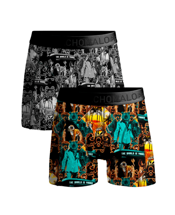 Jongens 2-Pack Boxershorts Montana Print/Print