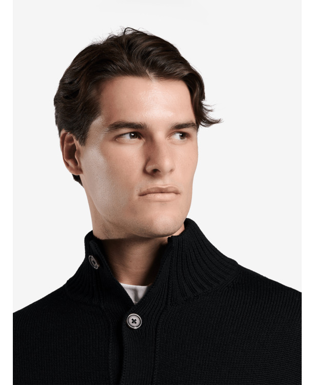 wollen cardigan Heren