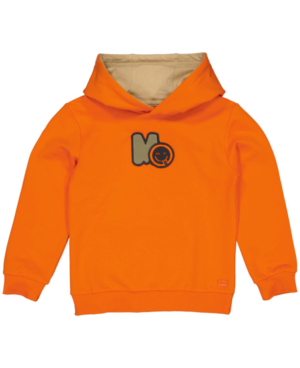 QW245ZIAS Hooded sweater Jongens