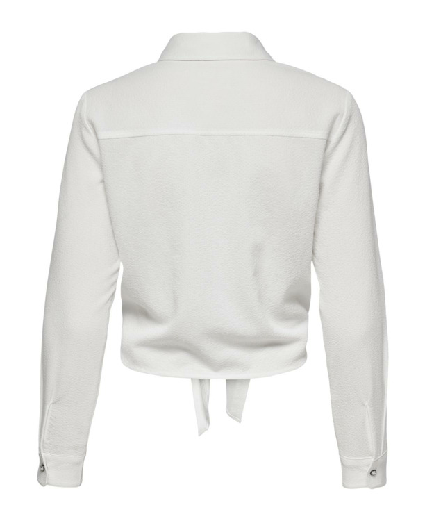 Regular Fit Shirt Collar Long Sleeves (L/S)