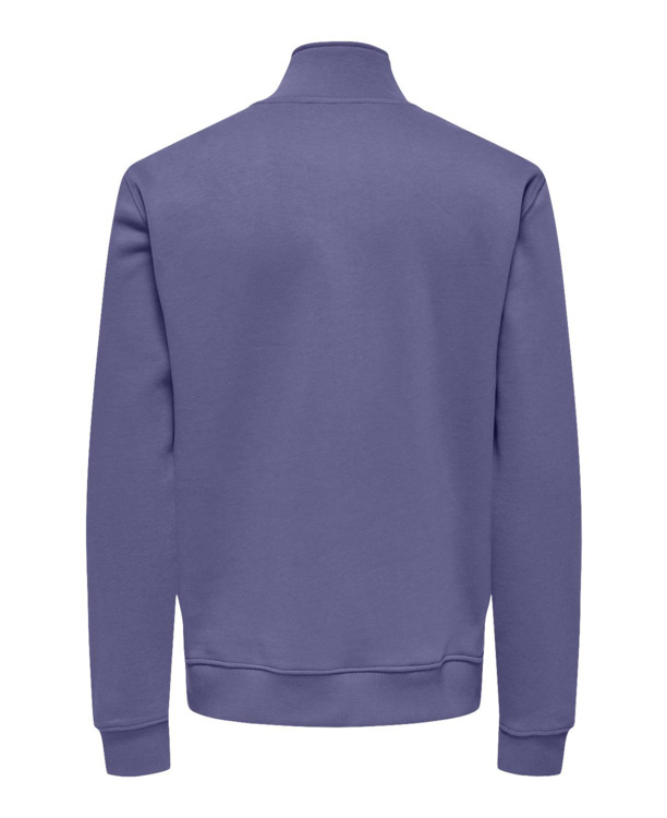 Normale pasvorm Hoge nek Lange mouwen (L/S) Heren