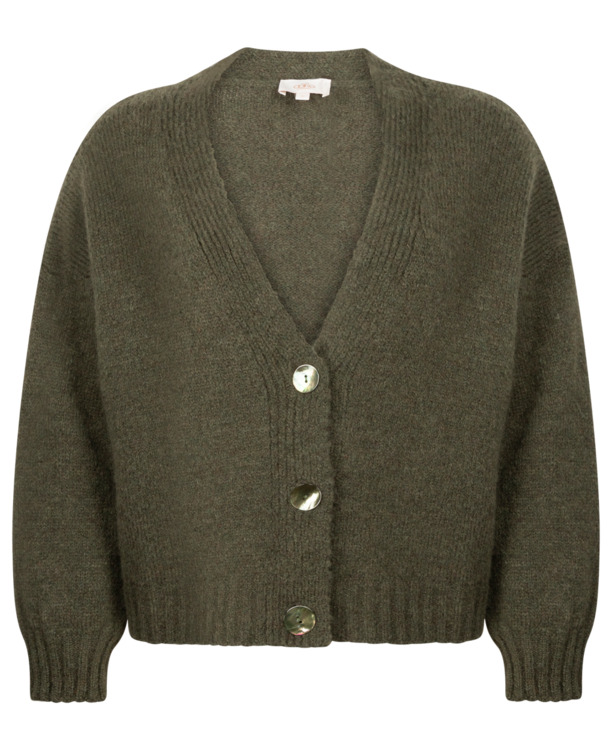 Aaiko Dames wol viscose acryl vest winter moss cardigan