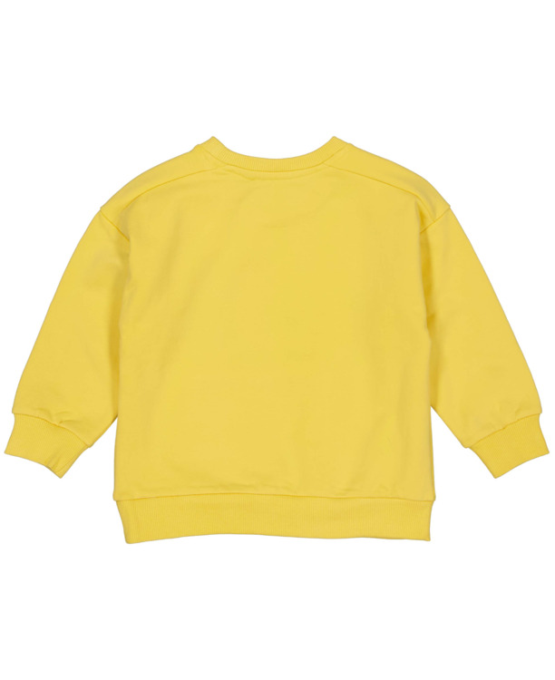 PAVOLLW243 Trui Jongens