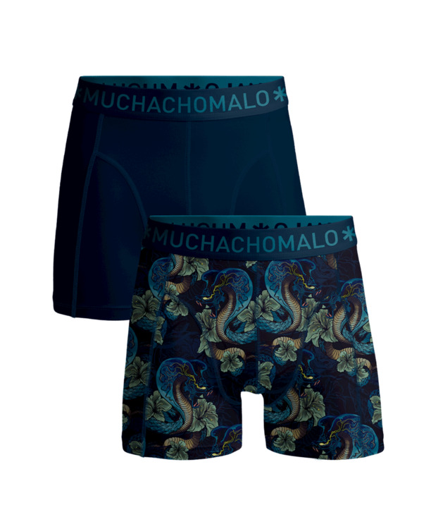 Heren 2-pack Boxershorts print/effen Print/Blue