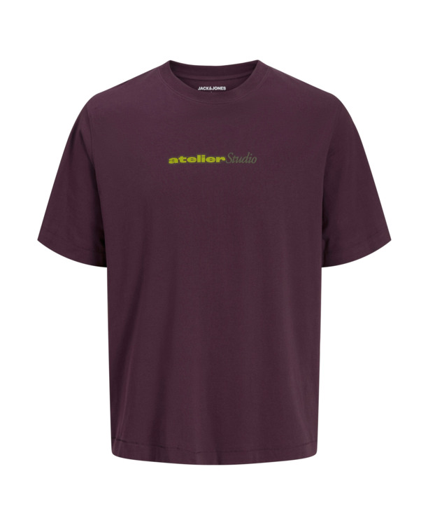 JJRODY TEE SS CREW NECK