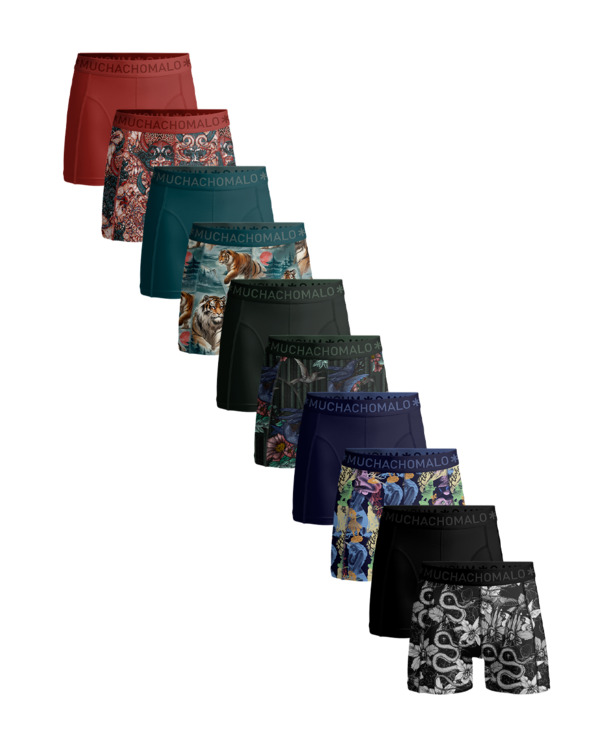 Heren 10-Pack Boxershort Print/Solid Print/Blue/Grey/Green/Red