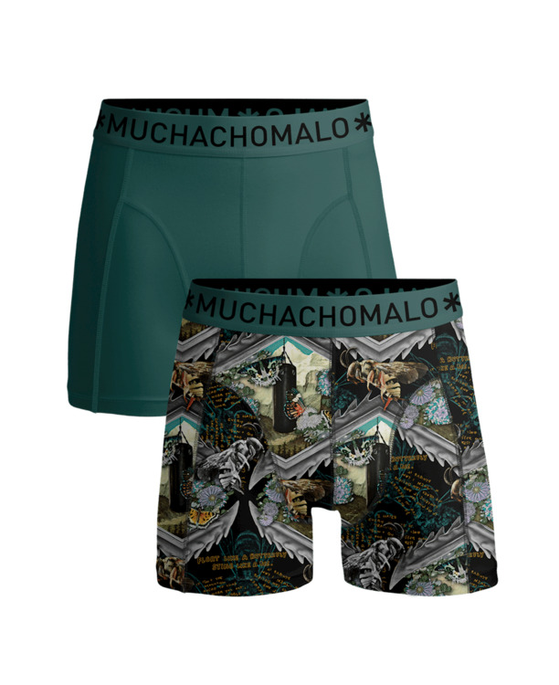 Herenset van 2 boxershorts Muhammad Ali Experience Print/Green