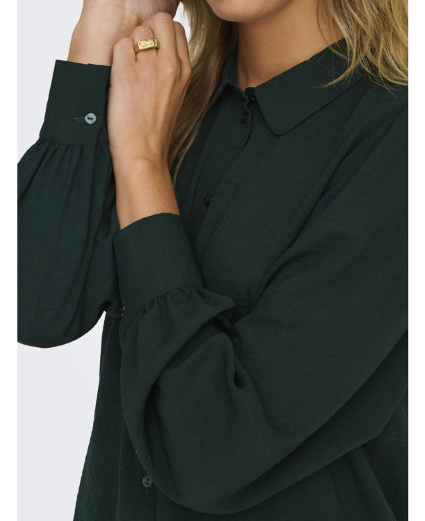 Regular Fit Shirt Collar Long Sleeves (L/S)