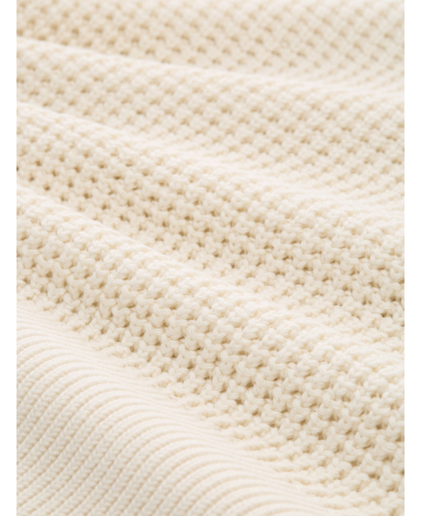 Gefermenteerde rijst (basisrecept)