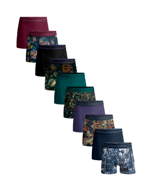 Heren 10-Pack Boxershort Print/Solid Print/Purple/Blue/Green/Red