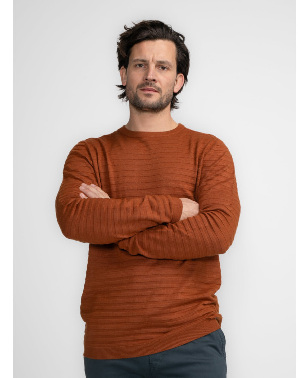 Men Knitwear Round Neck Basic