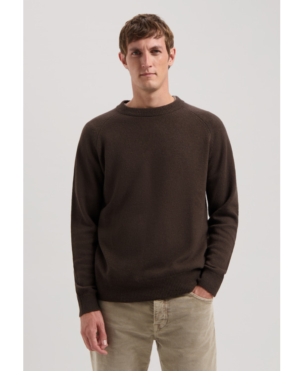 Dstrezzed Heren Trui Crewneck DS Stefan Zwart