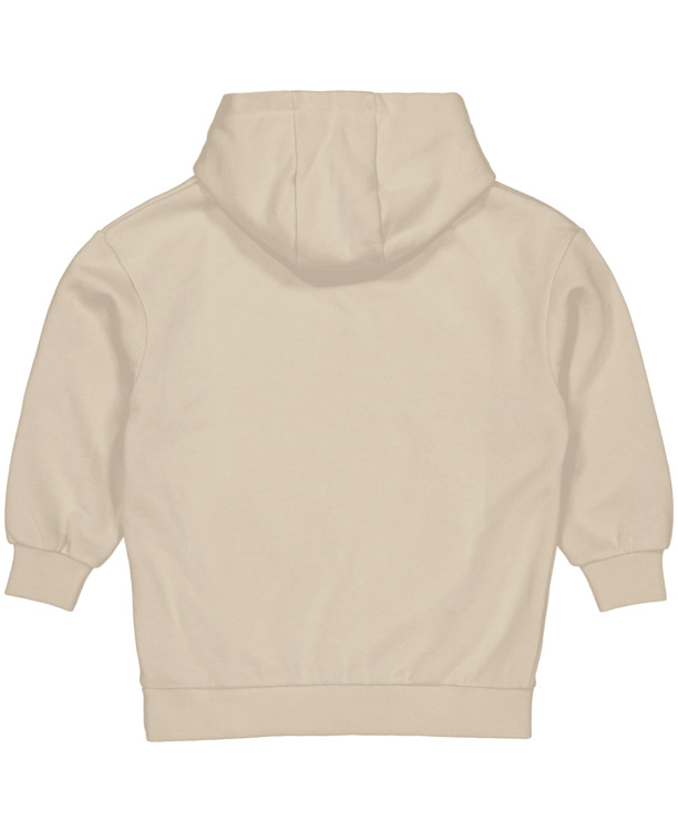HA31320620 Hooded sweater