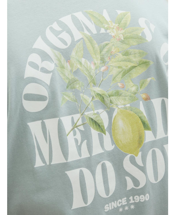 Ronde hals T-shirt (S/S)