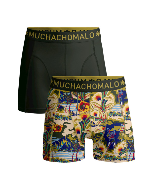 Heren 2-pack Boxershorts Baretta Blauw Hawai Print/Green