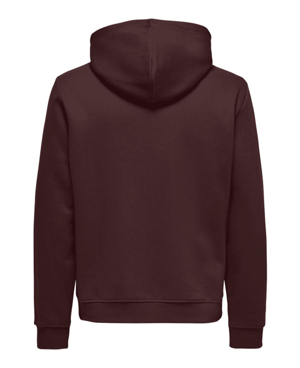 Regular Fit Hoodie Lange Mouwen (L/M) Heren