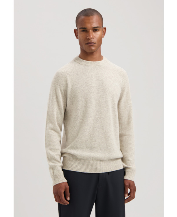 Dstrezzed Heren Trui Crewneck DS Stefan Zwart