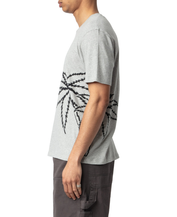 TOMMY CL BIG PALM TREE