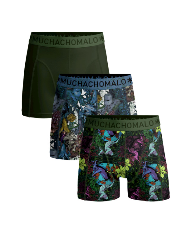 Heren 3-pack Boxershorts Earthelements Print/Print/Green