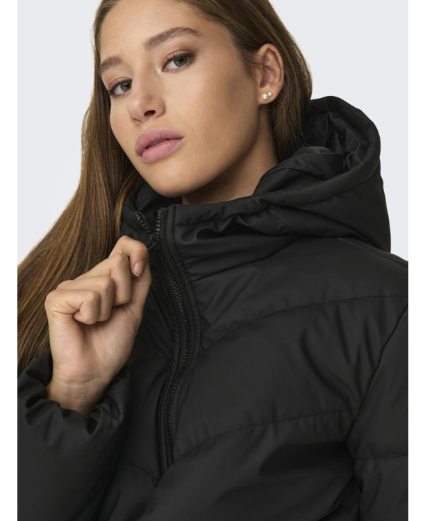 Hood Long Sleeves (L/S)