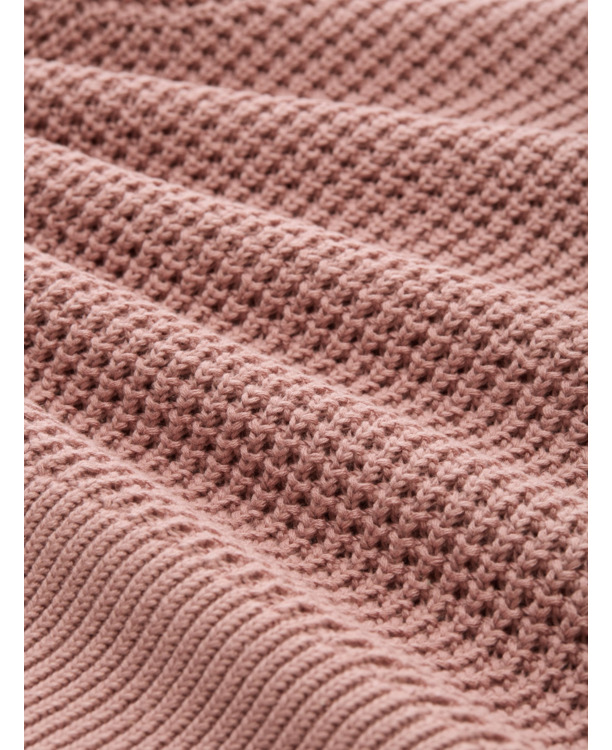 Gefermenteerde rijst (basisrecept)