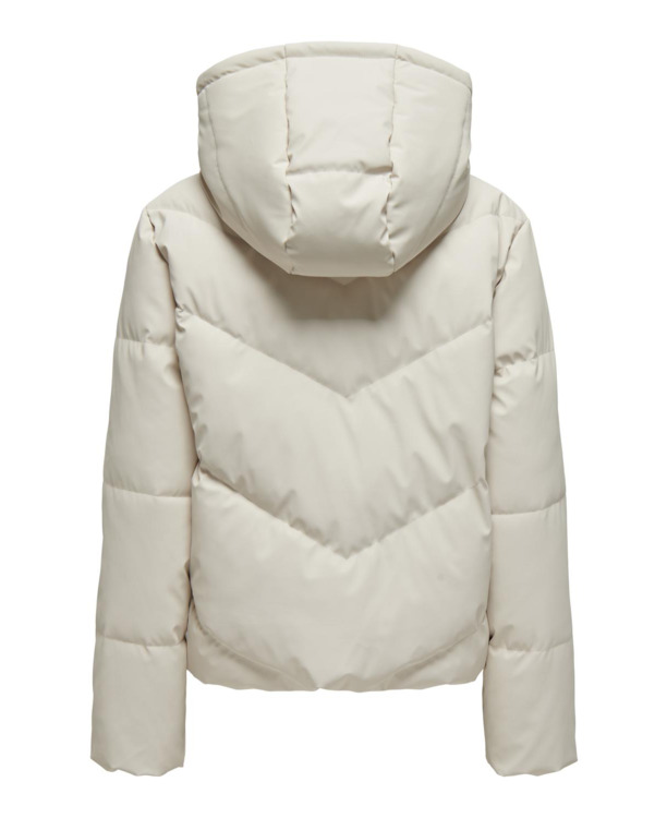 Hood Long Sleeves (L/S)