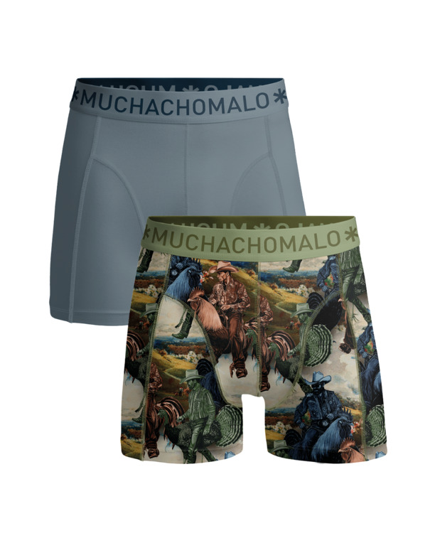 Heren 2-Pack Boxershort Print/Effen Print/Blue