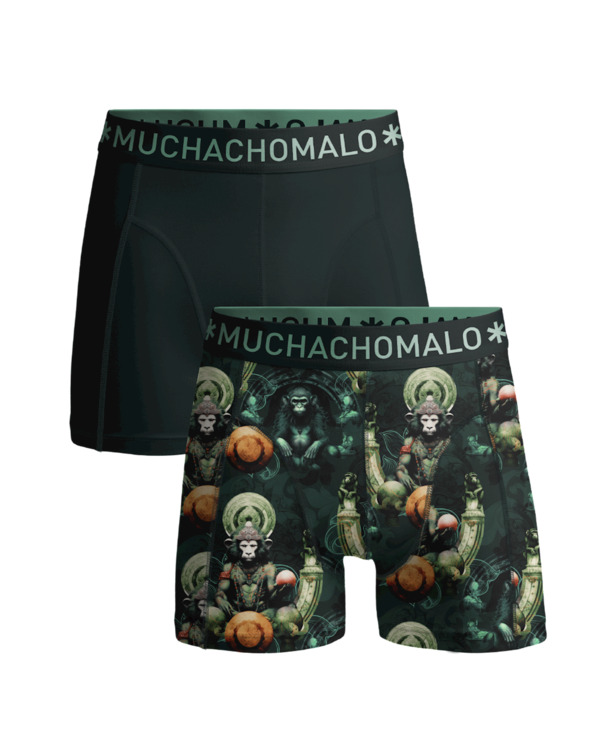 Heren 2-pack Boxershorts print/effen Print/Green