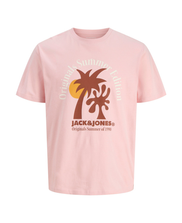 JORDOWN TEE SS CREW NECK STYDSS25