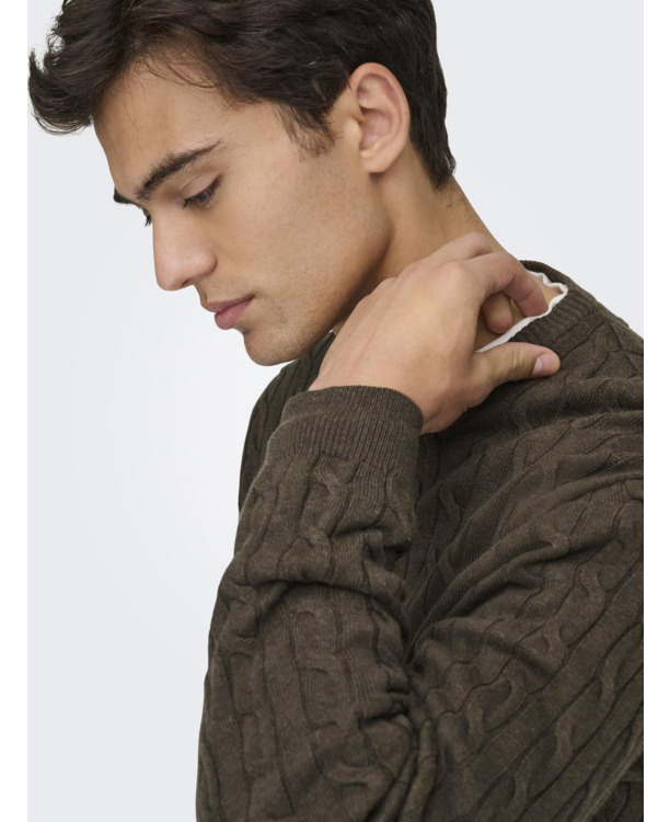 Regular Fit Crew Neck Lange Mouwen (L/S) Heren