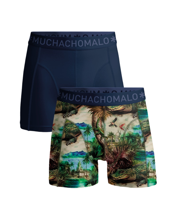 Heren 2-Pack Boxershort Print/Effen Print/Blue