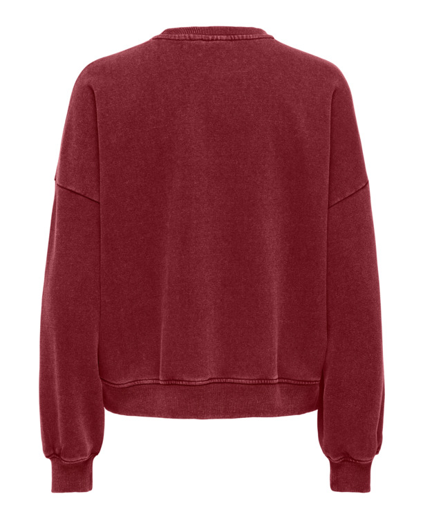 ONLLINDA LIFE L/S O-NECK PRINT CS S