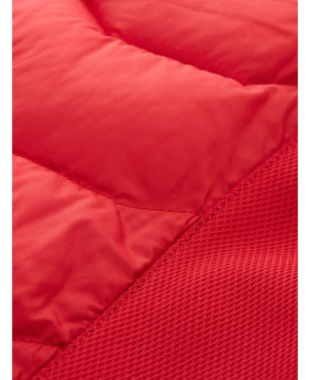 Hybride katoenen vest met bomberkraag