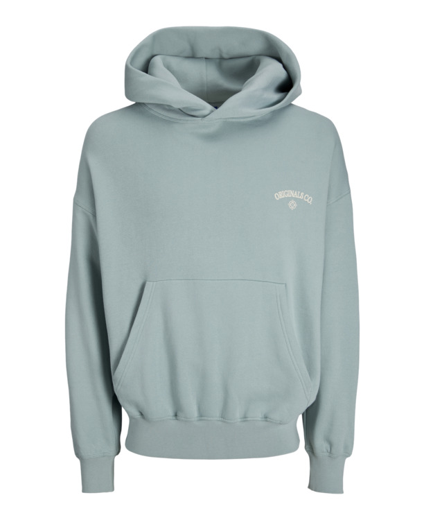 Oversize Fit Hoodie Long Sleeves (L/S)