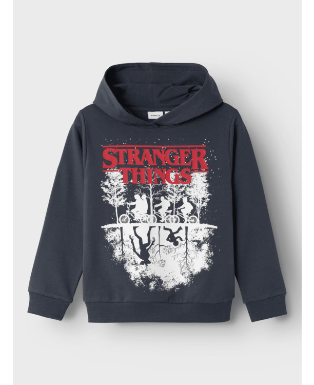 Regular Fit Hoodie Long Sleeves (L/S) Sweatshirt
