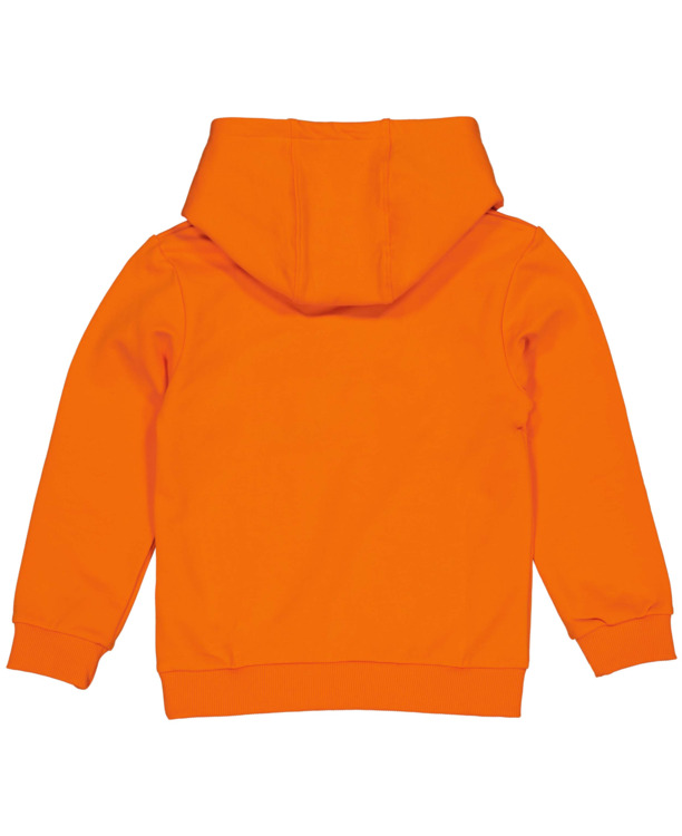 QW245ZIAS Hooded sweater Jongens