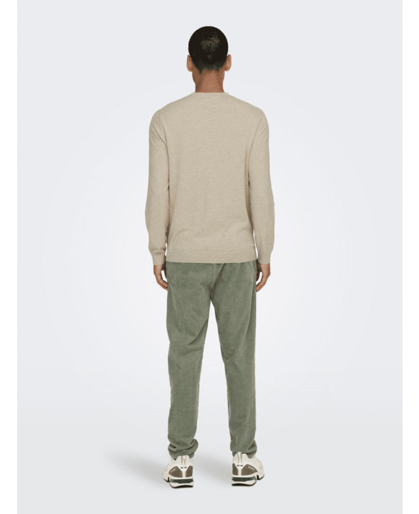 Regular Fit Crew Neck Lange Mouwen (L/S) Heren