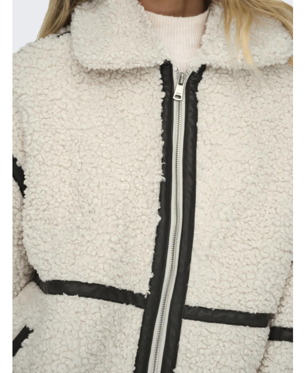 Spread Collar Long Sleeves (L/S)