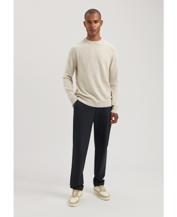 Dstrezzed Heren Trui Crewneck DS Stefan Zwart