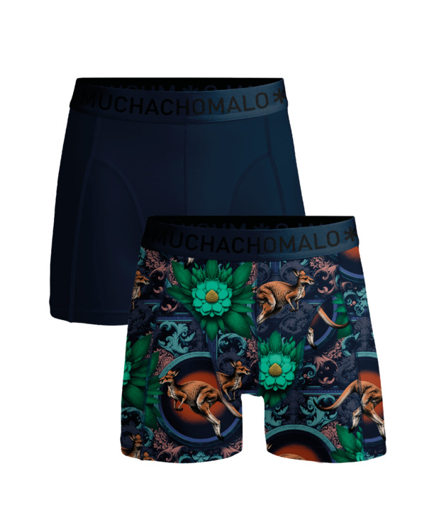 Heren 2-pack Boxershorts print/effen Print/Blue