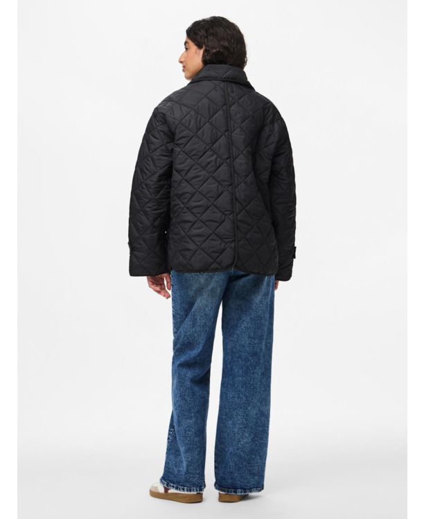 Spread Collar Long Sleeves (L/S)