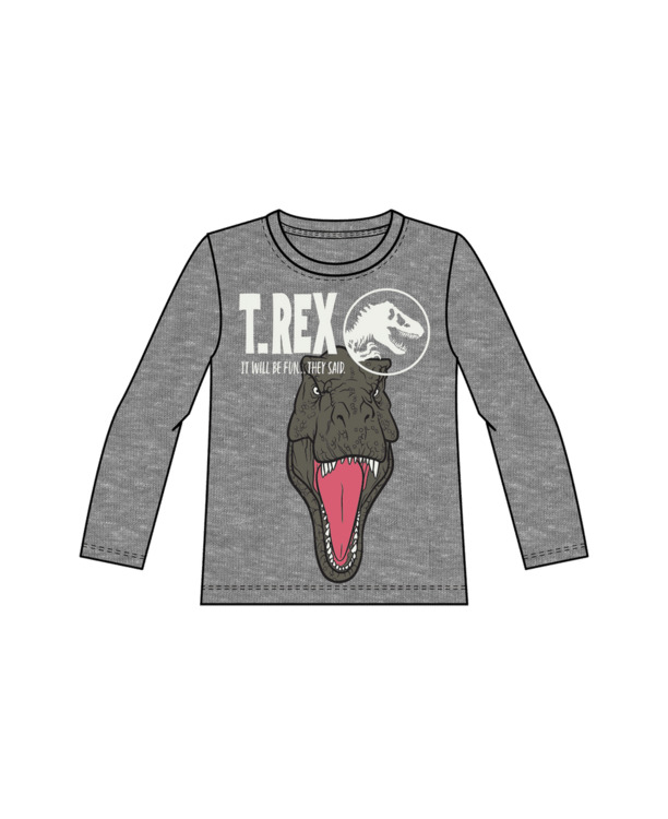 Normale pasvorm ronde hals lange mouwen (L/S) Heren