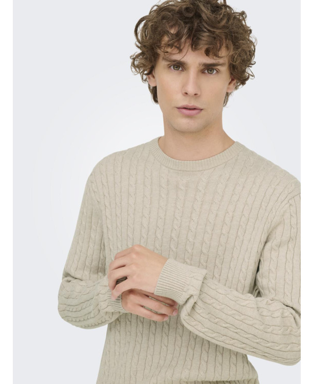 Regular Fit Crew Neck Lange Mouwen (L/S) Heren