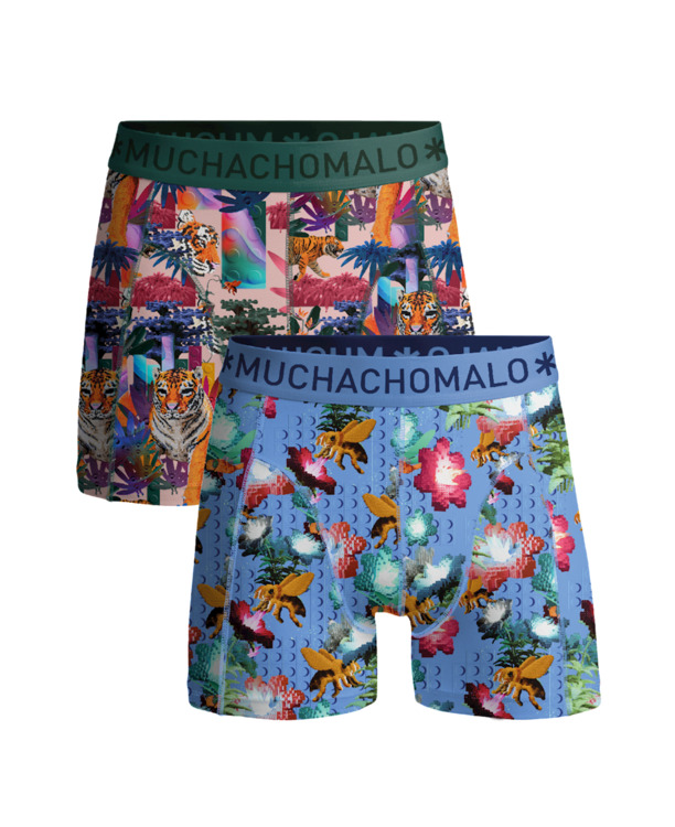Heren 2-Pack Boxershorts Bricks Print/Print