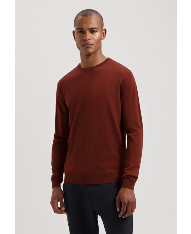 Dstrezzed Heren Crewneck Trui DS Destin