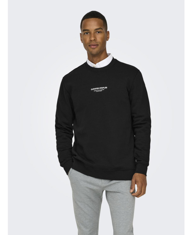 Regular Fit Crew Neck Lange Mouwen (L/S) Heren