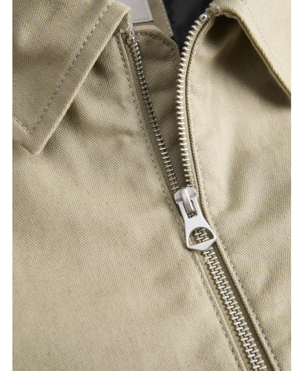 Spread Collar Long Sleeves (L/S)